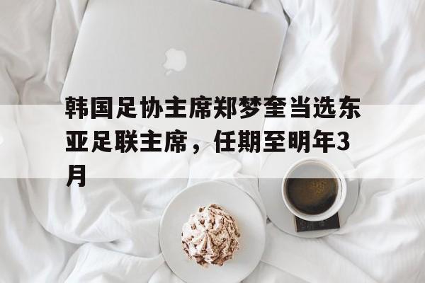 开云体育入口-包含韩国足协主席郑梦奎当选东亚足联主席，任期至明年3月的词条