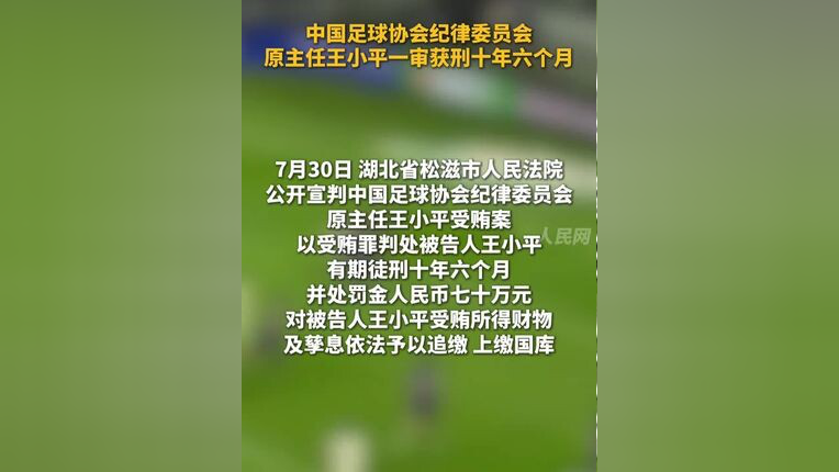 足协原纪律委员会主任王小平一审获刑10年6个月+罚金70万的简单介绍